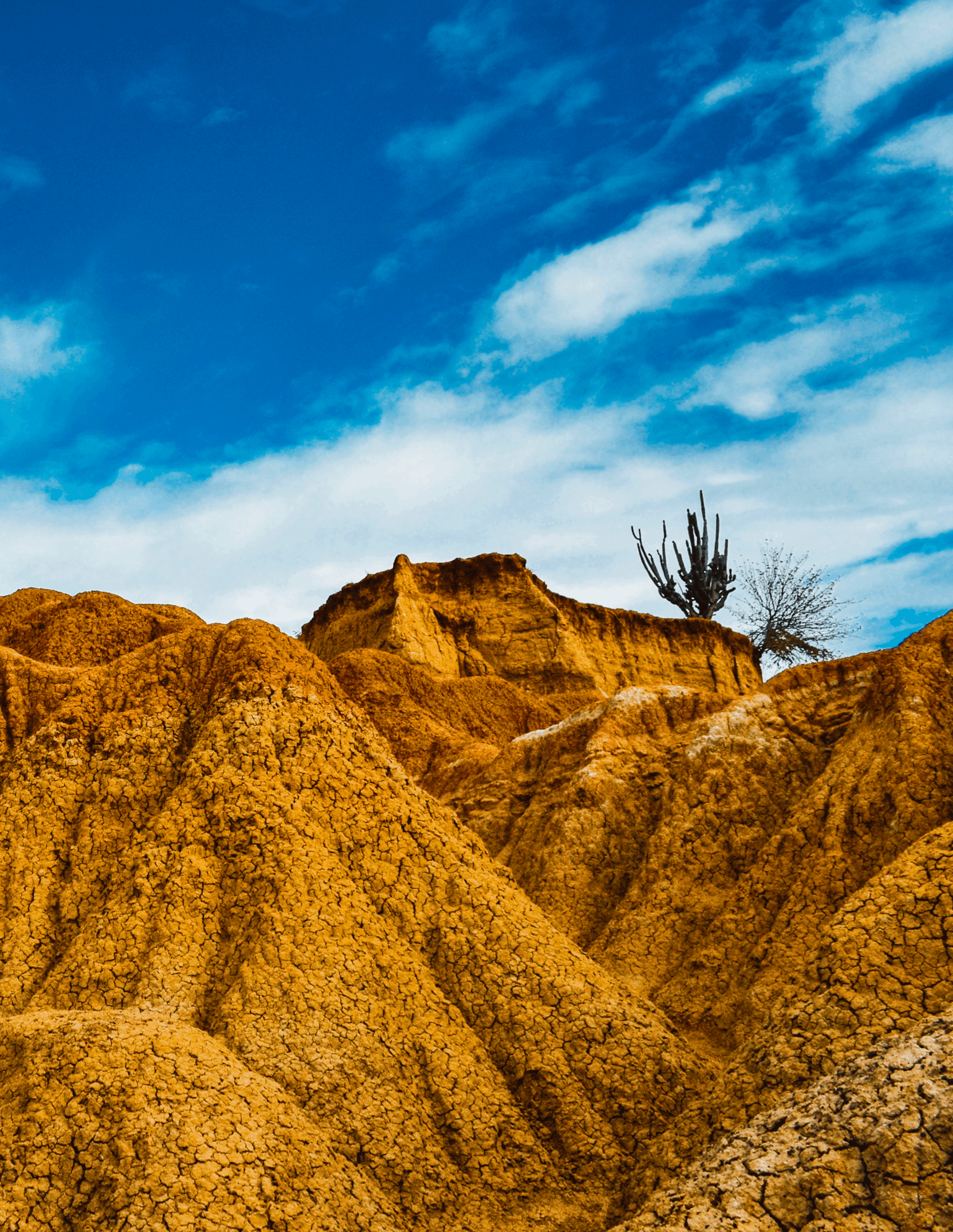 desierto-de-la-tatacoa-huila