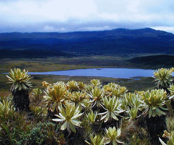 macizocolombia-viajaporelhuila-conocerelmacizocolombiano