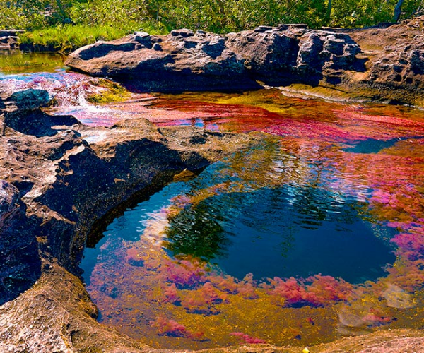 viajarporelmacizocolombiano-viajarporelhuila-cañocristales