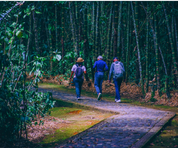 turismoenelhuila-viajarporelhuila-agenciadeviajesdelhuila-planesdeviajes32